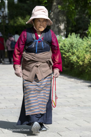 The Tibetans (52)