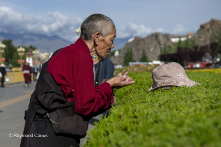 The Tibetans (69)