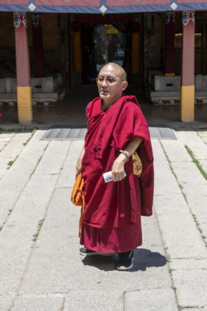 The Tibetans (8)