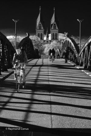 The Wiwili bridge (20)