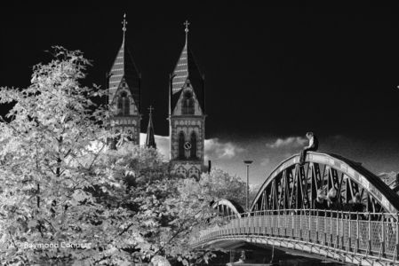 The Wiwili bridge (7)