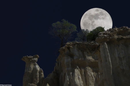 The organs of Ille-sur-Têt under the moon (41)