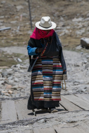 The pilgrims (22)