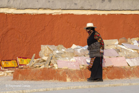 The pilgrims (25)