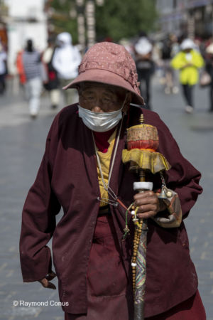 The pilgrims (2)