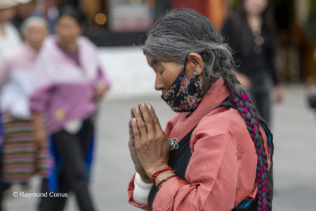 The pilgrims (33)