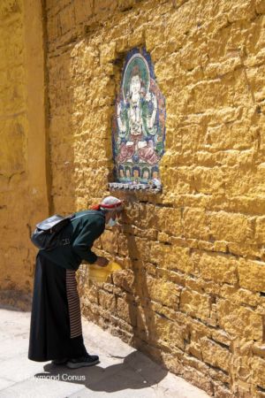 The pilgrims (5)