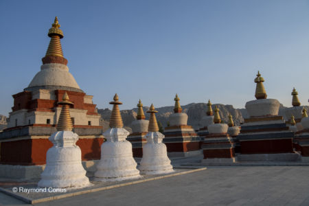Tholing Monastery (10)