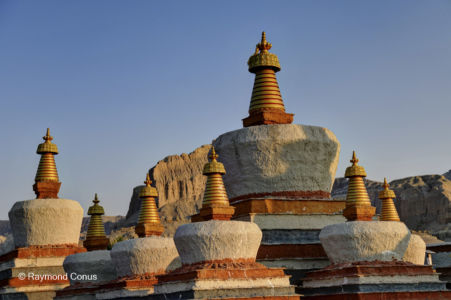 Tholing Monastery (11)