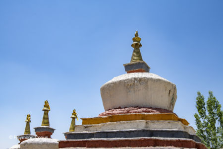 Tholing Monastery (9)