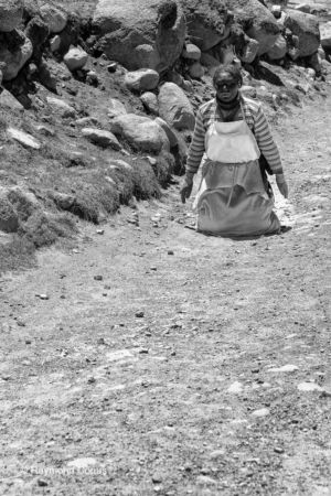 Les Tibétains (37)