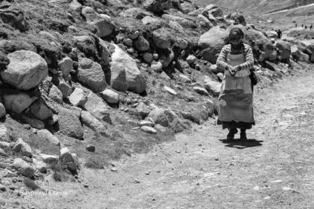Les Tibétains (38)