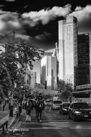 Toronto SP (5)