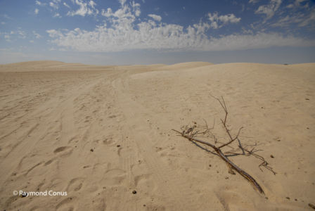 Tunisia (16)