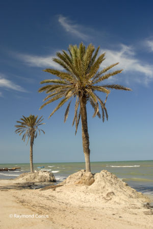 Tunisia (1)