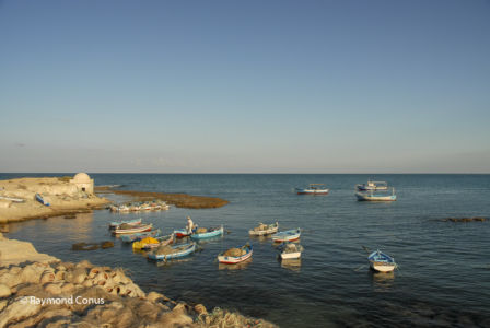 Tunisie (10)