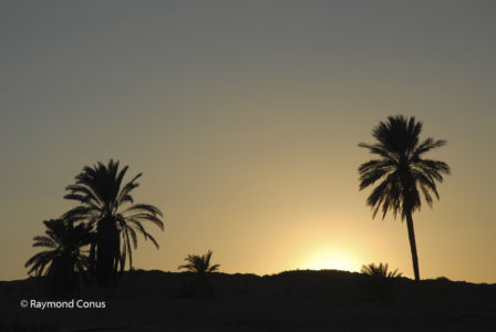 Tunisie (11)