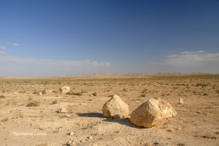 Tunisie (13)