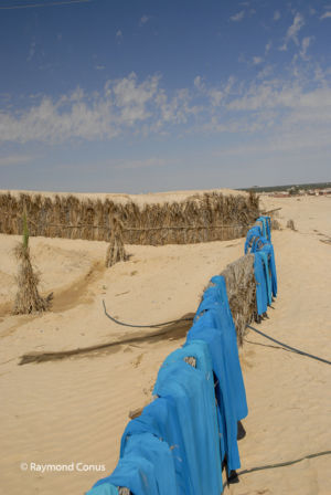 Tunisie (18)