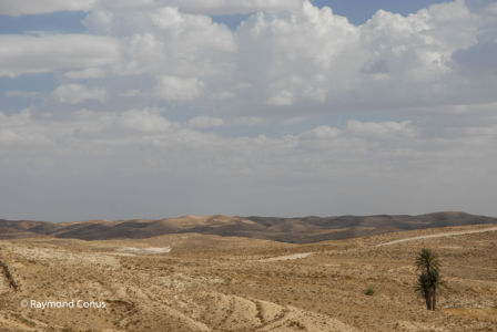 Tunisie (19)