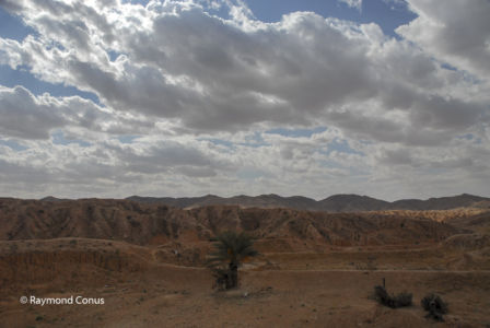 Tunisie (21)
