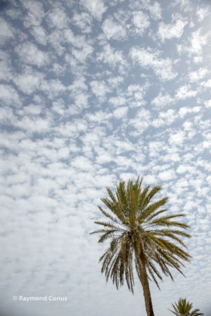 Tunisie (25)