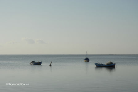 Tunisie (2)
