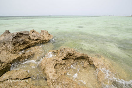 Tunisie (39)
