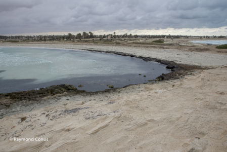 Tunisie (43)