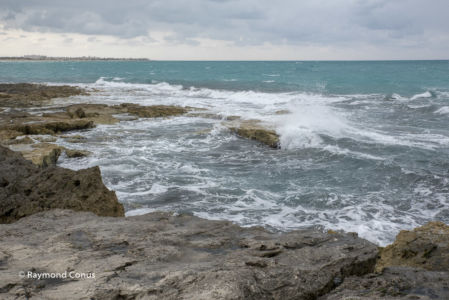 Tunisie (46)