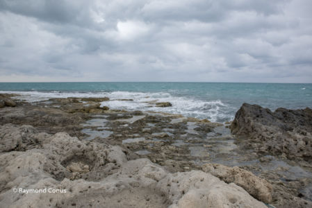 Tunisie (47)