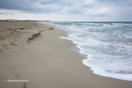 Tunisie (48)