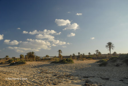 Tunisie (9)