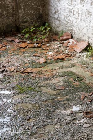 Urbex Col de la Faucille (6)