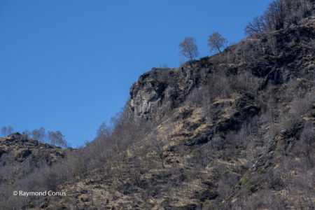 Valle del salto (10)