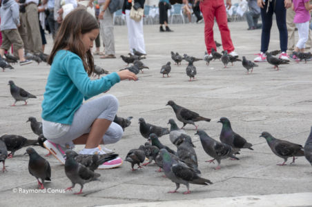 Venice (24)