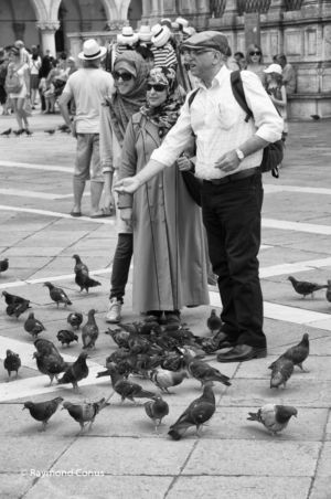 Venice (6)