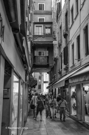 Venice SP (19)