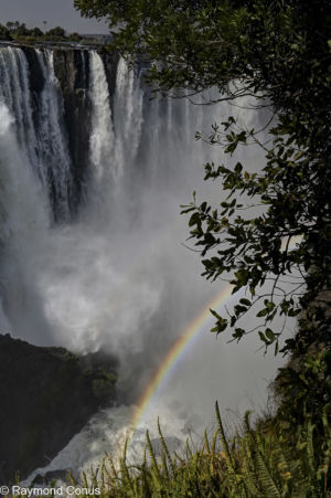 Victoria Falls (12)