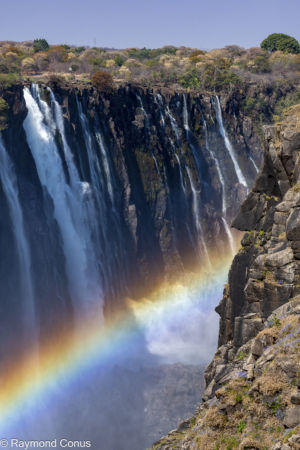 Victoria Falls (25)