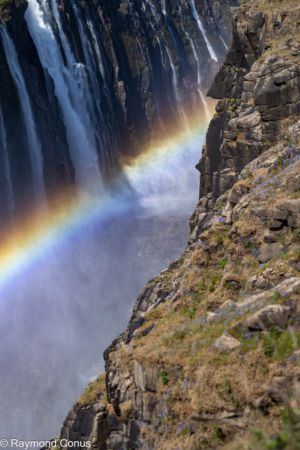 Victoria Falls (28)