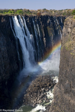 Victoria Falls (35)