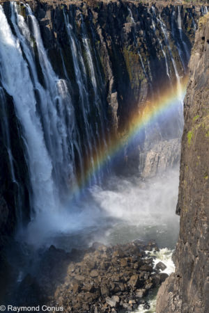 Victoria Falls (42)