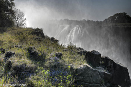 Victoria Falls (45)
