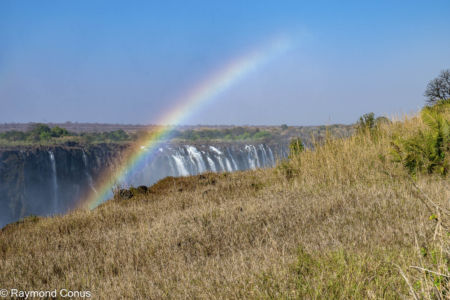 Victoria Falls (47)