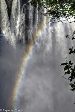 Victoria Falls (53)