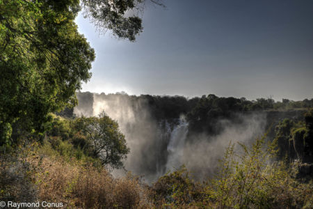 Victoria Falls (54)