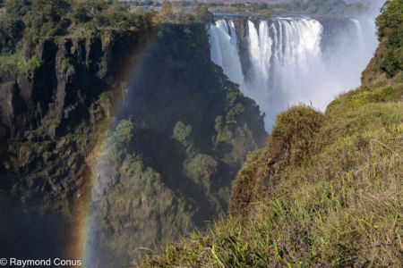 Victoria Falls (56)