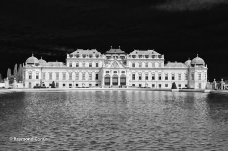 Vienna (12)