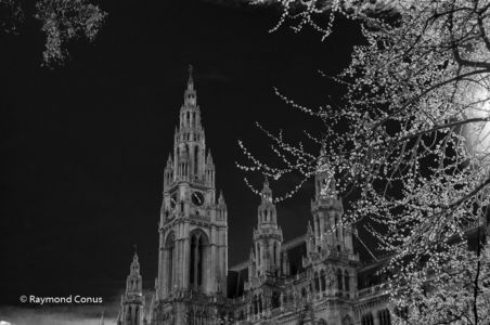 Vienna (14)